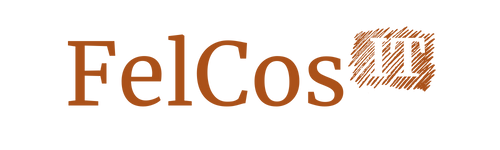 FelCos IT